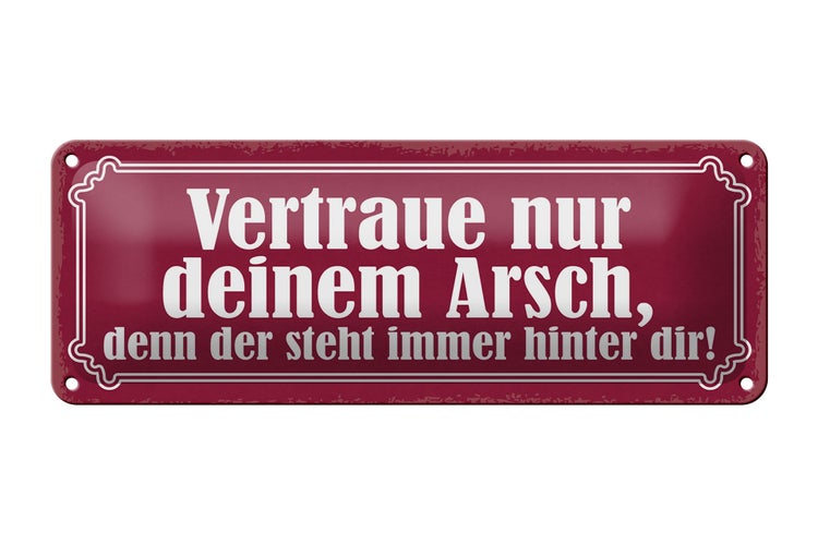 Blechschild Spruch 27x10cm vertraue nur deinem Arsch denn Dekoration