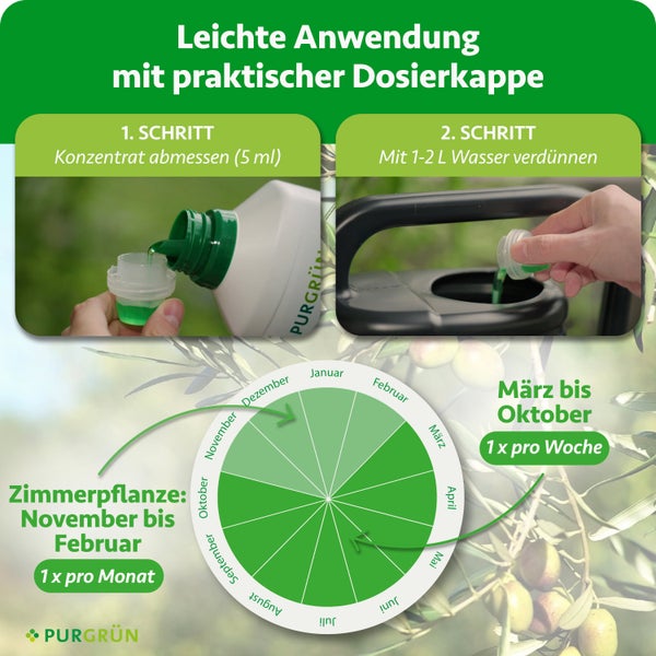 Infografik für Flüssigdünger: 1. Konzentrat abmessen 5 Milliliter, 2. mit 1 bis 2 Liter Wasser verdünnen. Mit Saisonkalender. Purgrün Logo.
