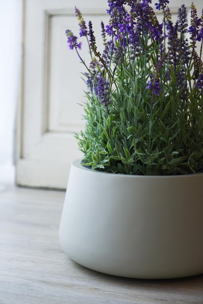 Künstlicher Lavendel mit violetten Blüten in einem weißen runden Topf auf einer hellen Oberfläche, helle und ordentliche Inneneinrichtung.