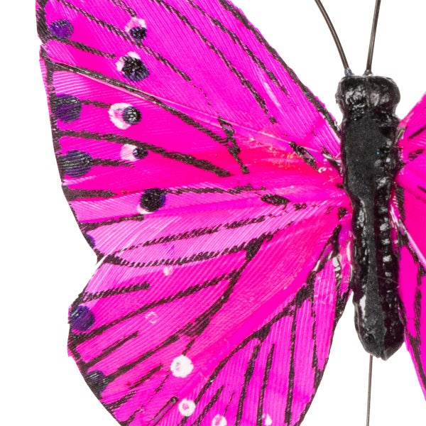 Dekorativer Schmetterling als Wohnaccessoire aus Federn