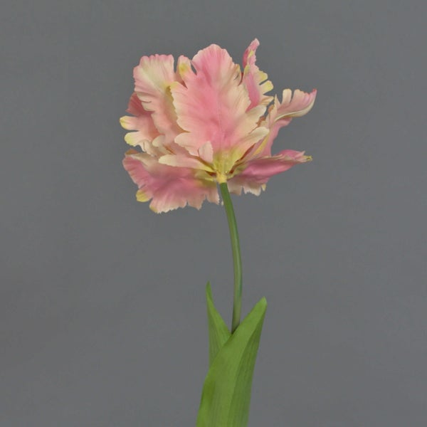 Künstliche Papageien-Tulpe mit gerüschten Blütenblättern an einem grünen Stiel mit Blatt.