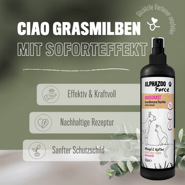 Deckenleuchte aus Rattan mit den Maßen 215 x 330 mm