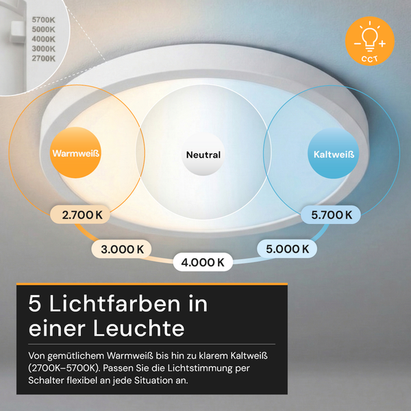 Ovale LED-Deckenleuchte mit fünf einstellbaren Farbtemperaturen von 2700 Kelvin Warmweiß bis 5700 Kelvin Kaltweiß, einstellbar per Schalter.