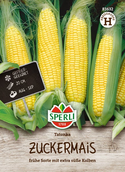 Sperli Saatgut Zuckermais Tatonka, frühreif mit süßen Kolben, 20 Zentimeter lang, erntereif im August bis September, geeignet zum Einfrieren.