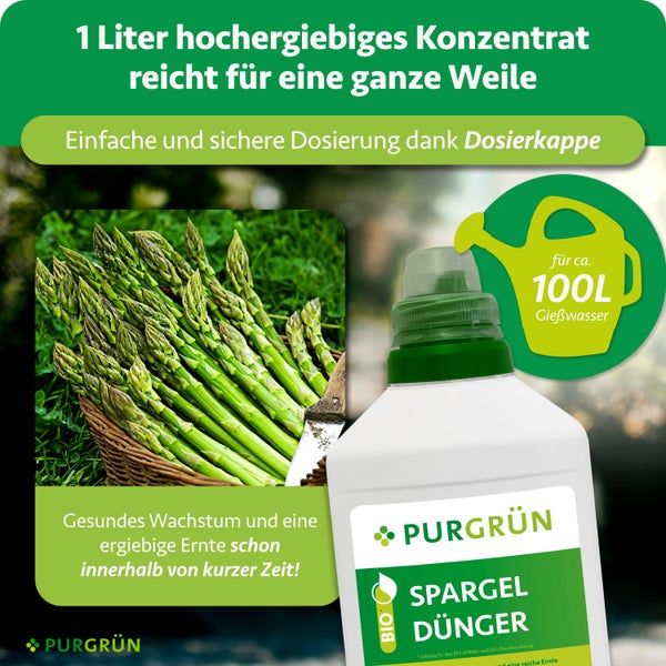 Purgrün Bio Spargeldünger Konzentrat, 1 Liter ergibt circa 100 Liter Gießwasser, mit Dosierkappe für gesundes Wachstum und reiche Ernte.