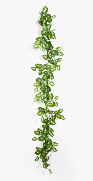 Künstliche Syngonium-Ranke mit gemusterten Blättern für die Dekoration.