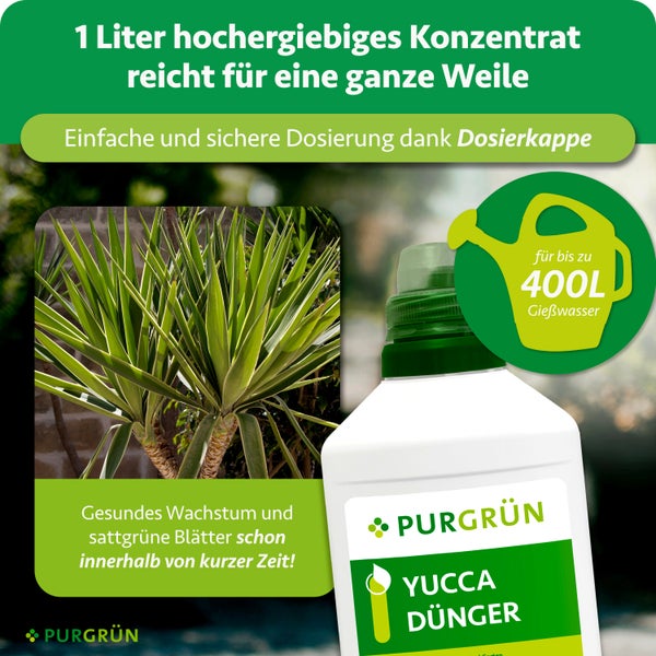 Purgrün Yucca Dünger 1 Liter Flasche für Haus und Garten, ausreichend für bis zu 400 Liter Gießwasser, hergestellt in Deutschland.