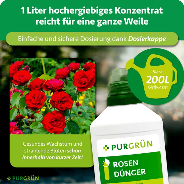 Purgrün Rosendünger Konzentrat 1 Liter für circa 200 Liter Gießwasser, Abbildung von Rosen, Flasche mit Dosierkappe und Purgrün Logo.