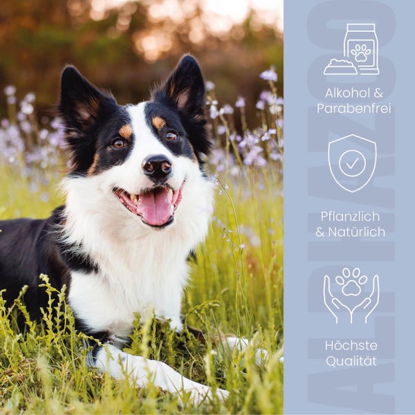 alphazoo Brandlöscher Anti Juckreiz Spray für Hunde 250ml