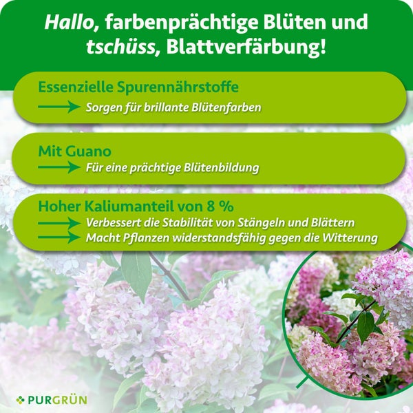 Infografik zum Purgruen Hydrangea Duenger mit Informationen zu Spurennahhrstoffen, Guano und Kaliumanteil fuer Pflanzen