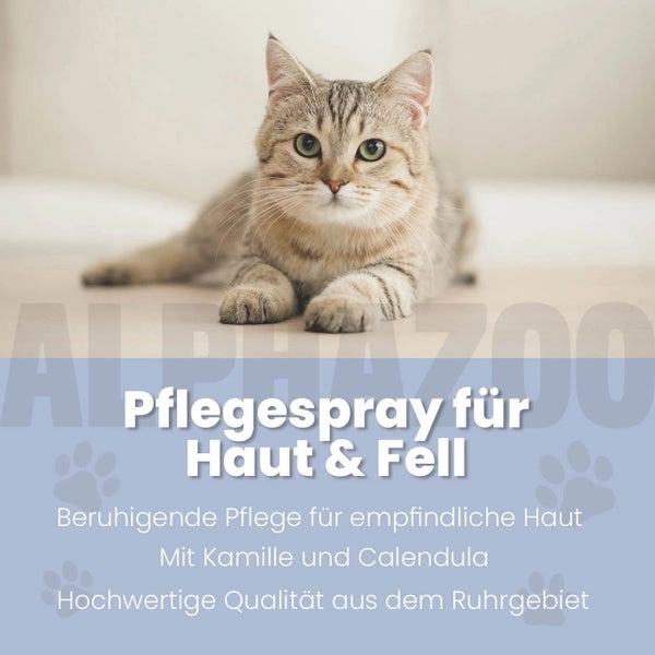 Porträt einer getigerten Katze, die entspannt liegt, Produktinformationen für Pflegespray für Haut und Fell