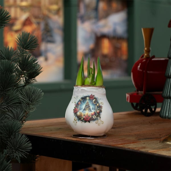 Hyazinthe in einem weißen Keramiktopf mit Weihnachtsmotiv auf einem Holztisch, umgeben von festlicher Dekoration.