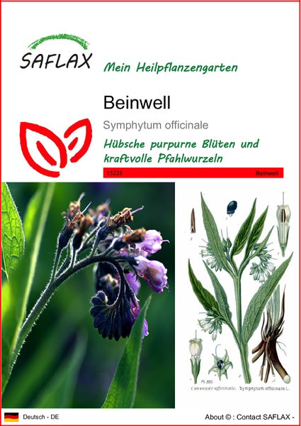 SAFLAX  - Beinwell - Symphytum officinale - 15 Samen