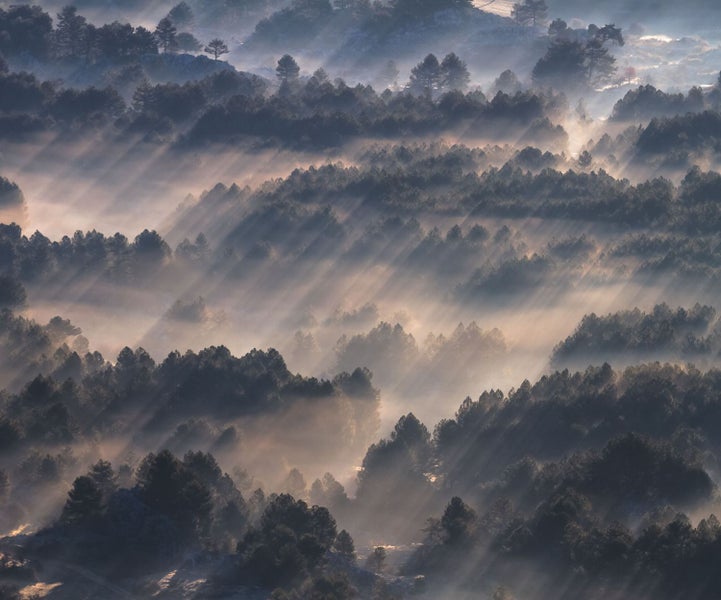 Waldlandschaft mit Nebel und Sonnenstrahlen