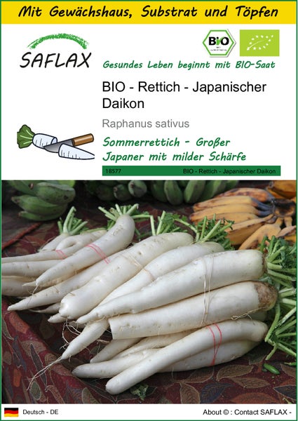 SAFLAX Anzucht Set - BIO - Rettich - Japanischer Daikon - Raphanus sativus - 100 Samen - Mit Mini-Gewächshaus, Anzuchtsubstrat und 2 Töpfen