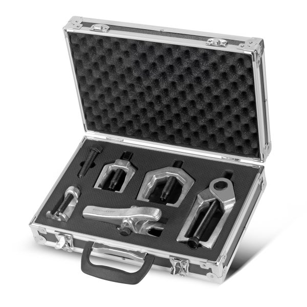 Nahaufnahme von lila Fliederblüten