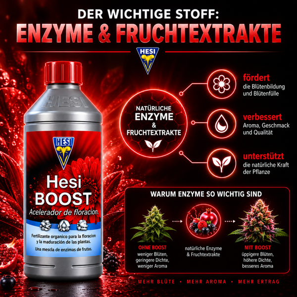 Hesi Boost Blütezusatz mit natürlichen Enzymen und Fruchtextrakten für eine verbesserte Blühqualität, Ertragssteigerung und Aromaverbesserung.