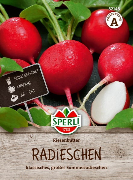 Sperli Saatgut Radieschen Riesenbutter für die Sommerernte, geeignet für Kübelpflanzung.