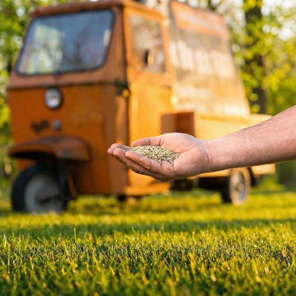 Hand hält Rasensamen vor einem Rasen und einem dreirädrigen Lieferwagen