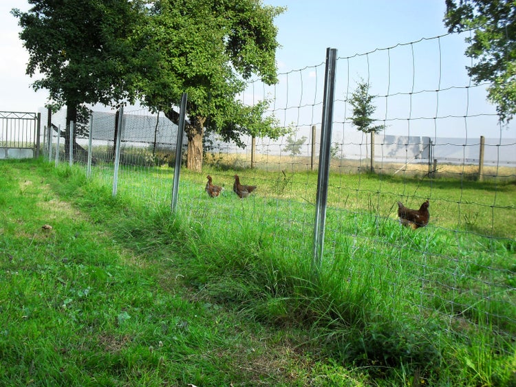 450m Wildzaun Forstzaun Weidezaun Drahtzaun 200/22/15 Schwere Ausführung