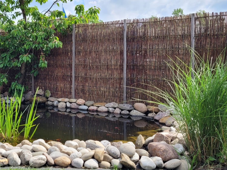 Gartenteich mit Steinumrandung und Sichtschutzzaun im Hintergrund.