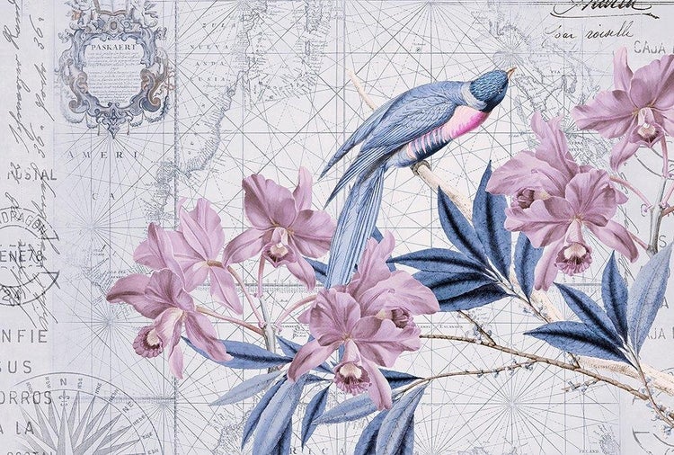 Tapete mit Vintage-Weltkarte im Hintergrund, Orchideenblüten und einem blauen Vogel auf einem Ast.