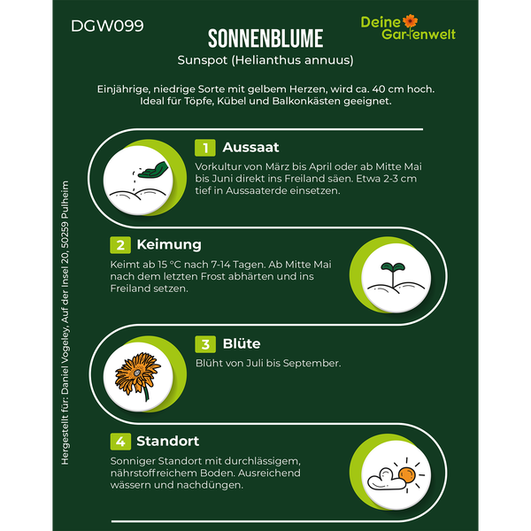 Infografik für Sonnenblume Sunspot: Aussaat, Keimung, Blüte und Standort. Die Pflanze wird circa 40 Zentimeter hoch. Deine Gartenwelt Logo.