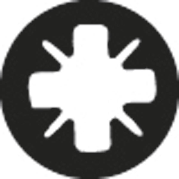Bosch 25x Schrauberbit Extra-Hart, PZ 2, 49 mm - 2607002506
