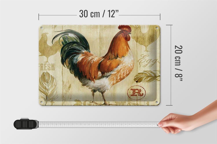 Blechschild Spruch 30x20cm Huhn Hühner Eggs frische Eier
