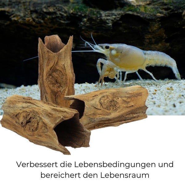 Aquarium Deko Rauer Baumstamm Höhle Röhre Aquariendeko Ablaichhöhle Barsch Fisch Krebs Wels Tonröhre Laichhöhle