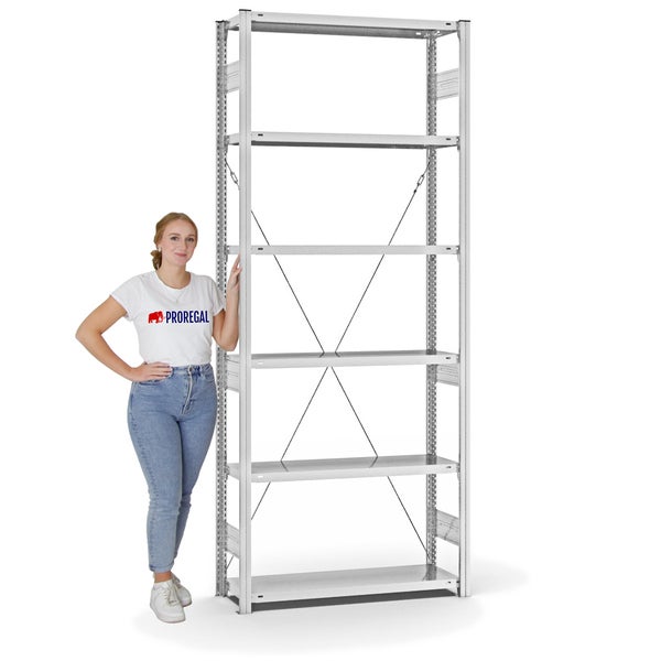 PROREGAL Fachbodenregal Stecksystem T-Profil Medium-Duty Grundregal HxBxT 250 x 100 x 30 cm 6 Ebenen Fachlast 220 kg Einseitig Nutzbar Lichtgrau