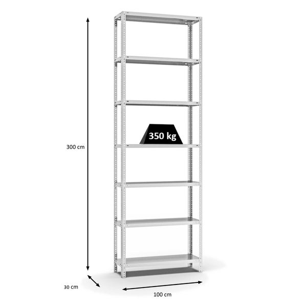 PROREGAL Fachbodenregal Schraubsystem Heavy-Duty Grundregal HxBxT 300 x 100 x 30 cm 7 Ebenen Fachlast 350 kg Beidseitig Nutzbar Lichtgrau