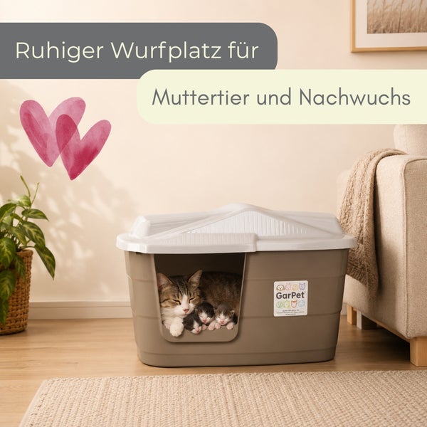 Katze mit Kätzchen in einer GarPet Wurfkiste aus Kunststoff in einem hellen Wohnzimmer mit Sofa und Zimmerpflanze.