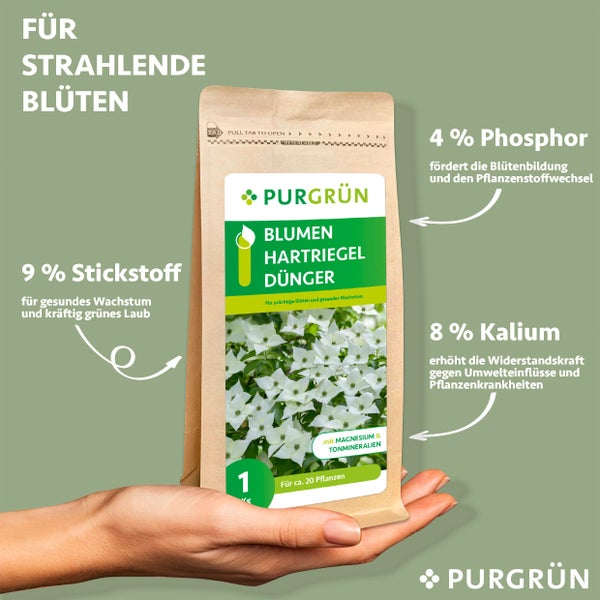 Purgrün Blumenhartriegel-Dünger 1 kg
