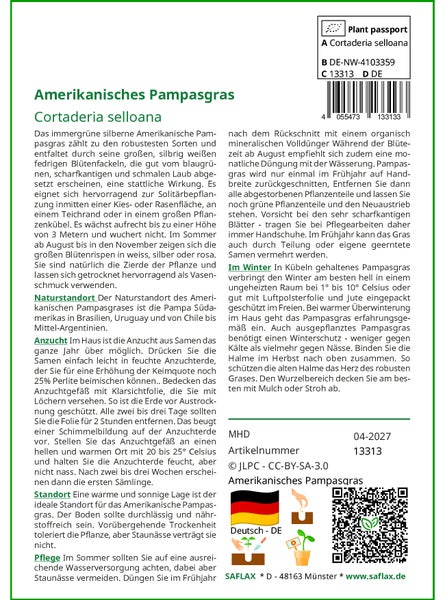 SAFLAX Garden in the bag - Amerikanisches Pampasgras - Cortaderia selloana - 200 Samen - Mit Anzuchtsubstrat im praktischen, selbst aufstellenden Beutel