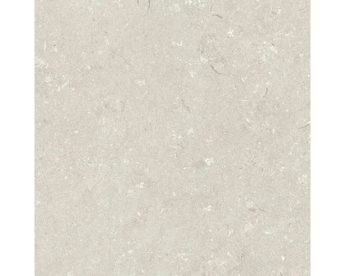Wand- und Bodenfliese Shellstone beige 60x60cm