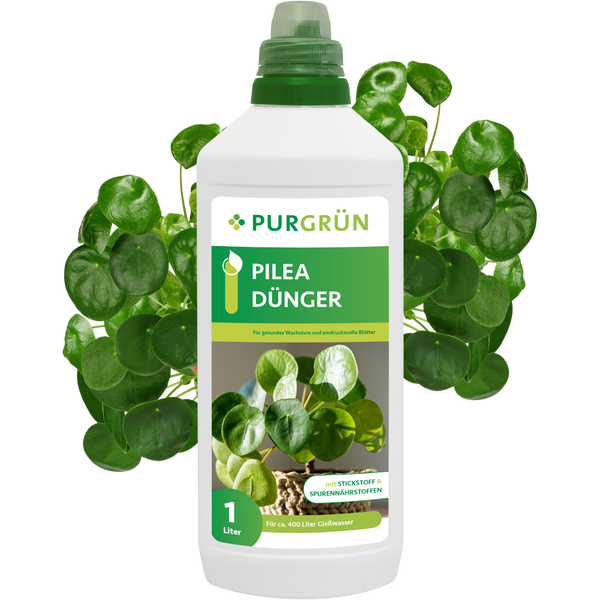 Purgrün Pilea-Dünger 1 Liter