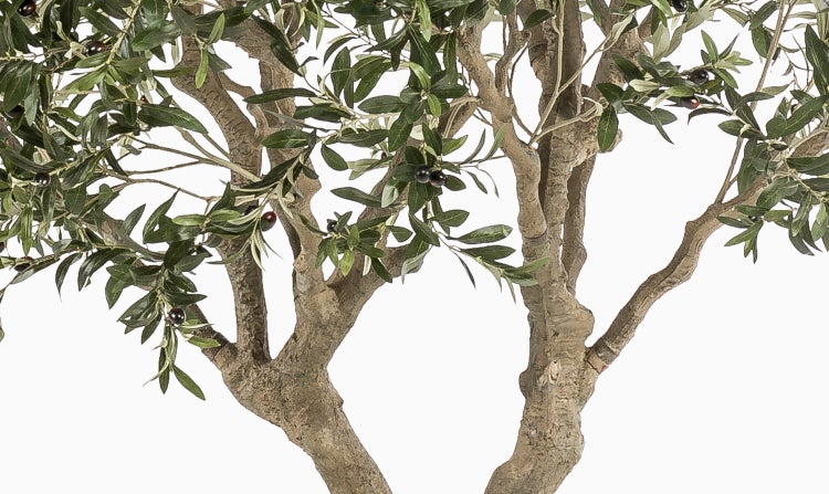 Nahaufnahme eines Pflanzenstamms in einem schwarzen Kunststofftopf.