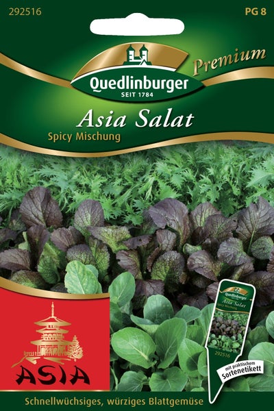Rückseite der Samenpackung Asia Salat Spicy Mischung mit Anbauhinweisen zu Aussaat, Keimung, Standort und Ernte. Quedlinburger Saatgut Logo.
