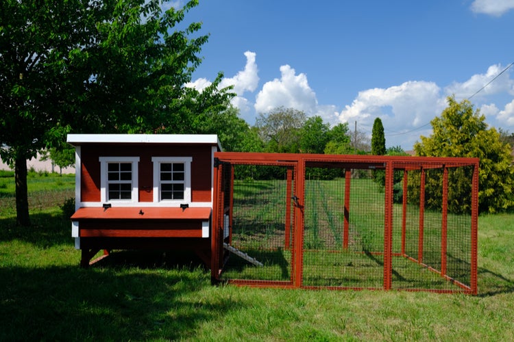 Großer Hühnerstall EZ Chicken Home 2,85m²  188 x 152 x 184 cm Grau herrgestellt in EU