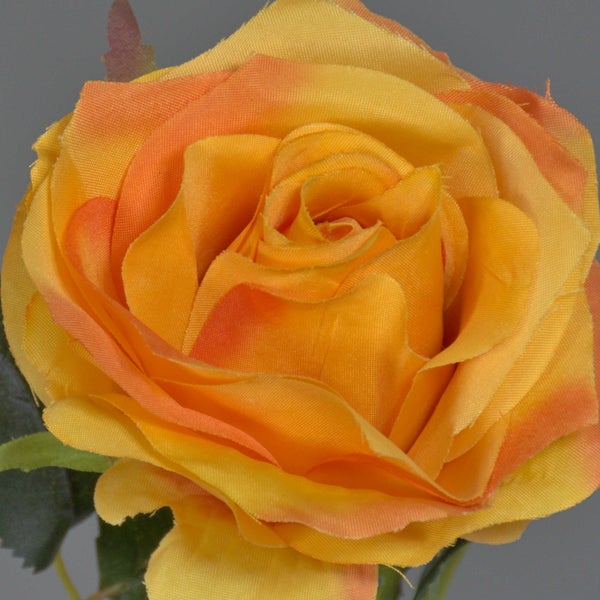 Detailansicht eines grünen Pflanzenstiels mit Blatt.