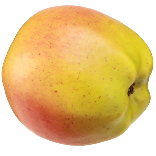 Apfel