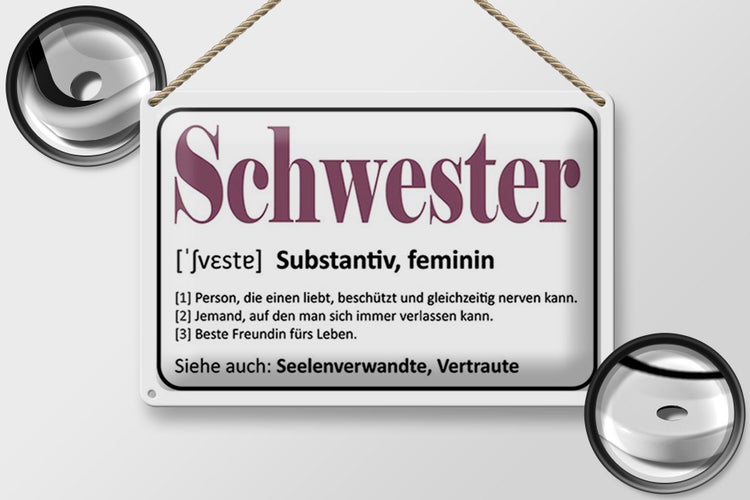 Blechschild Spruch 30x20cm Schwester Person die einen liebt