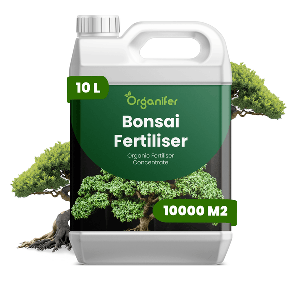 Organifer Bonsai-Dünger, organisches Düngerkonzentrat, 10 Liter Kanister für circa 10000 Quadratmeter.