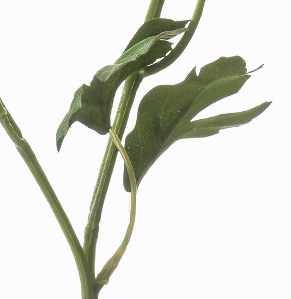 Künstliche Nadelkissen-Protea mit gelber Blüte, grünen Blättern und braunem Stiel.