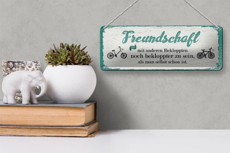 Blechschild Spruch Freundschaft noch bekloppter sein 27x10cm