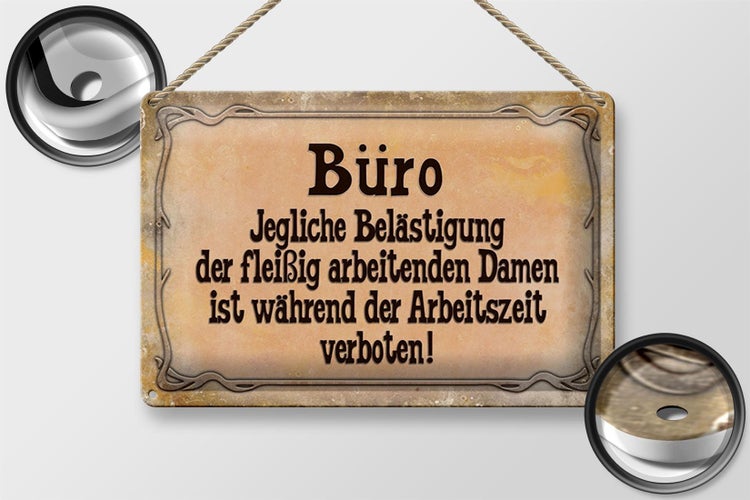Blechschild Spruch 30x20cm Büro Belästigung der Damen