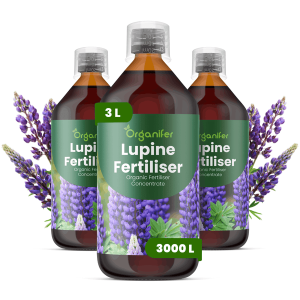 Drei Flaschen Organifer Lupinen-Dünger, organisches Konzentrat, 3 Liter für circa 3000 Liter Gießwasser.