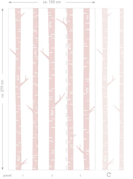 Tapete mit Birkenmuster und einer Größe von circa 150 cm x 279 cm