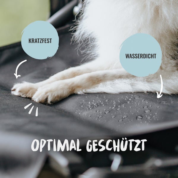 Hundebett mit den Eigenschaften kratzfest und wasserdicht.